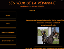 Tablet Screenshot of lesyeuxdelarevanche.com